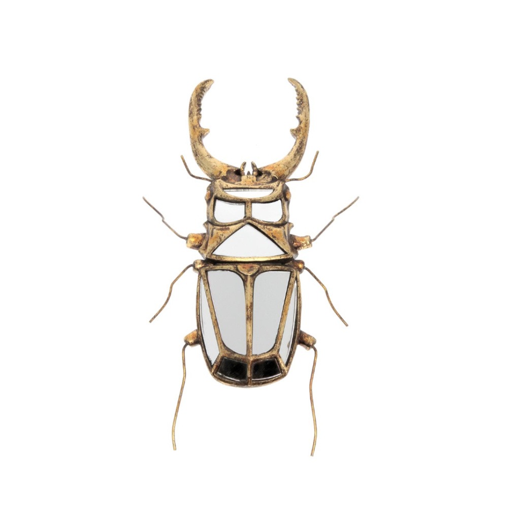 lucane cerf volant et miroirs