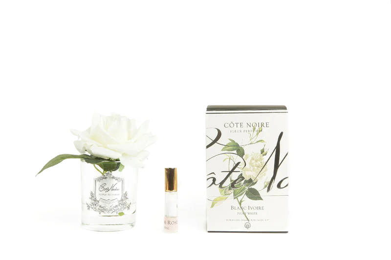 single_rose_ivory_white_clear_glass_with_box_800x