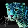 Tableau impression sur verre leopard bleu 2 1