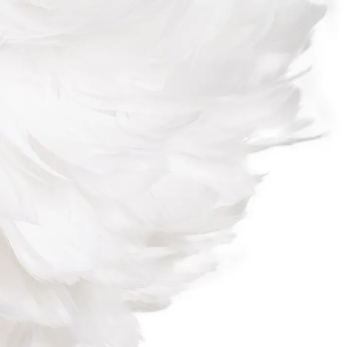 611605-04.webp 611605 04.webp