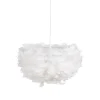 611605.webp Suspension en Plumes blanches