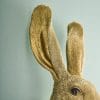 Applique Lapin Hasi or applique murale lapin or majdeltier 2