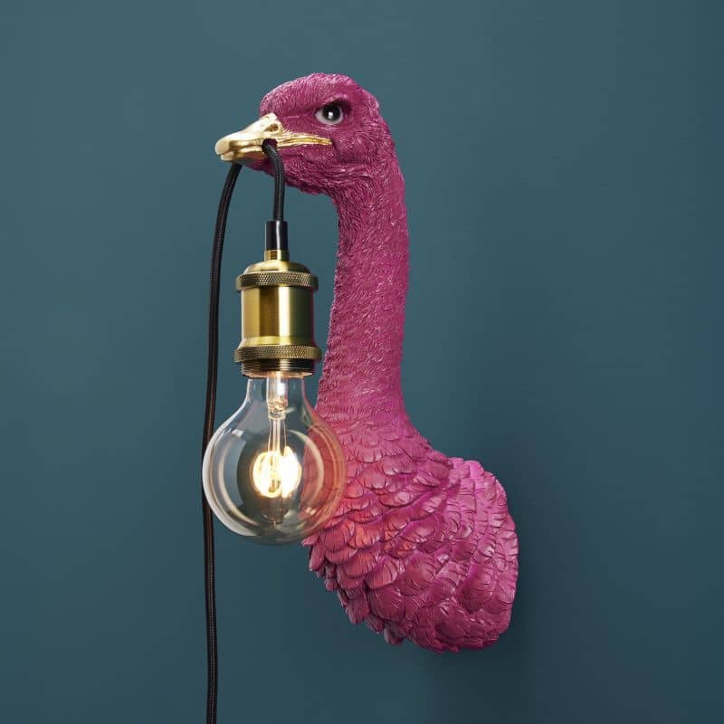 Applique Murale Autruche Baby Franz Josef Magenta – WERNS®