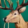 Applique Murale Cerf Harry cerf werns wernervoss majdeltier 1