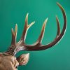Applique Murale Cerf Harry cerf werns wernervoss majdeltier 3