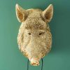 Applique Murale Sanglier Willy Dore sanglier or cochon werns wernervoss majdeltier 2