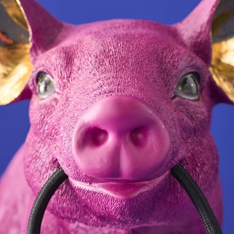 Lampe de table Piggy Rose - WERNS®-majdeltier