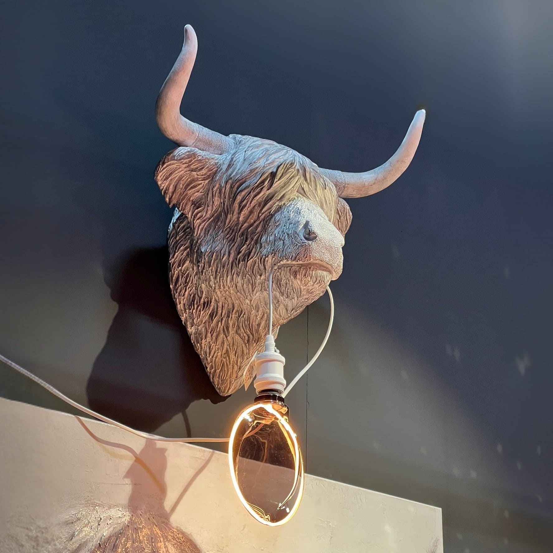 Applique Murale Wisent Tete De Bison werns majdeltier