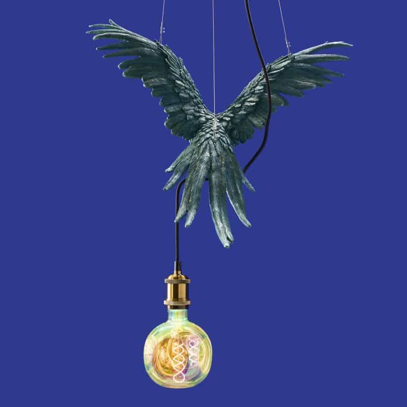 Plafonnier Perroquet Percy Vert - WERNS