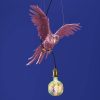 Plafonnier Perroquet Percy, rose-werns