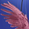 Plafonnier Perroquet Percy, rose-werns