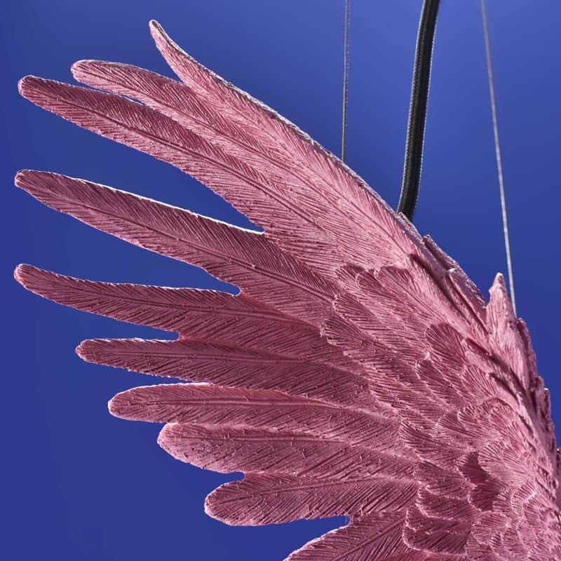 Plafonnier Perroquet Percy, rose-werns