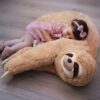 sloth pillow2 1