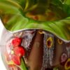 vase flora 3