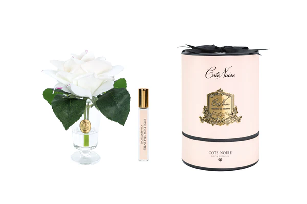 CÔTE NOIRE - Rose Charente blush