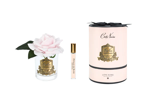 CÔTE NOIRE - Bouton de Rose rose clair